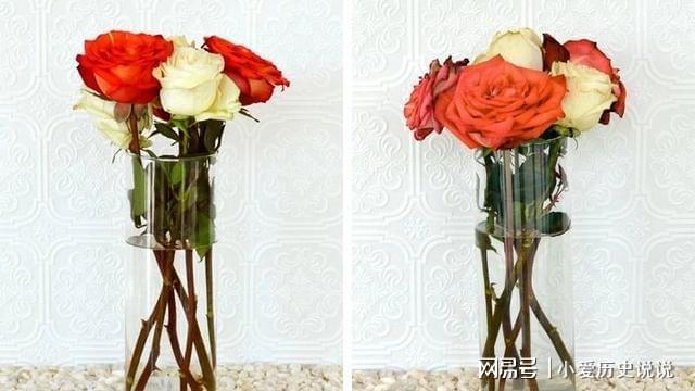 鲜花保鲜长时间让它不开花_鲜花保鲜长时间让它死亡_如何让鲜花保鲜时间更长