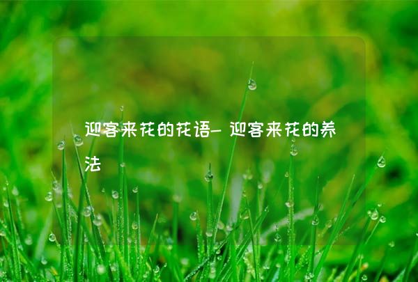 迎客来花的花语-迎客来花的养法