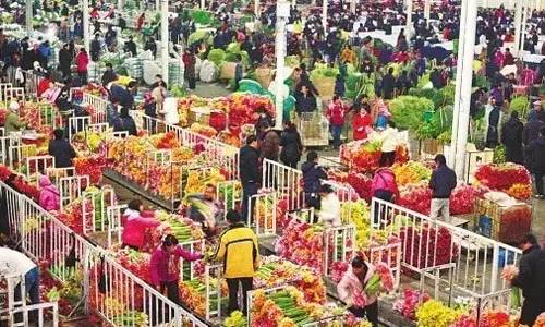 附近的花卉市场批发_附近的花卉批发市场在哪里_花卉批发附近市场在哪里
