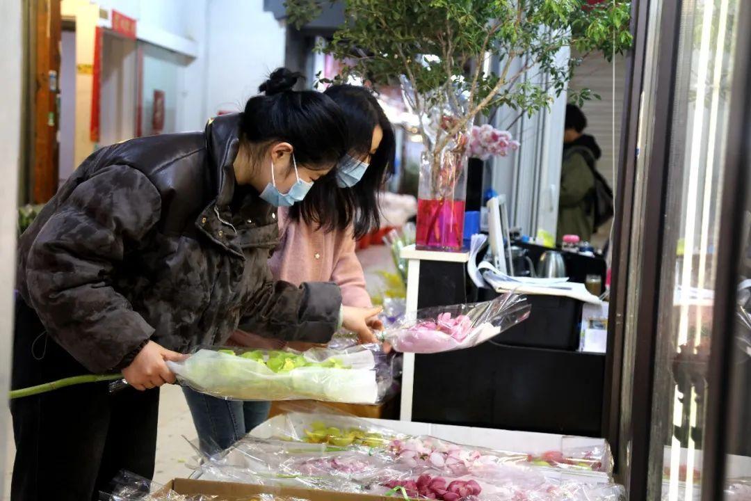 花卉批发绿植市场在哪里_花卉绿植批发市场多少钱_绿植花卉批发市场