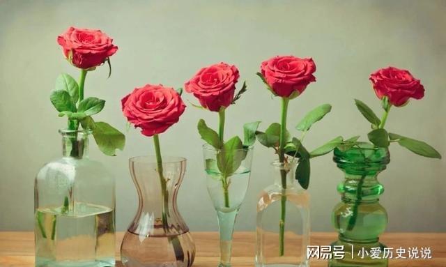 买来的鲜花如何保鲜更长久教你5个简单技巧