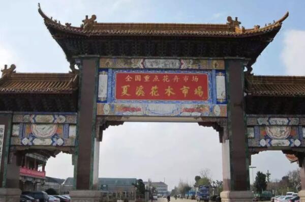 中国十大花卉批发市场，江苏上榜两处，第一是中国最大鲜切花市场(2)