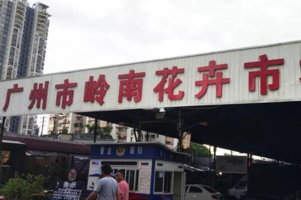 离我最近的花卉批发市场_花卉批发市场一览_花卉市场批发