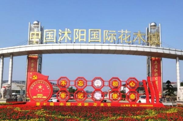花卉批发市场一览_花卉市场批发_离我最近的花卉批发市场