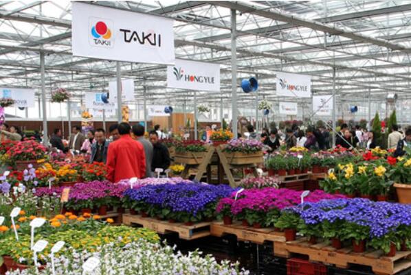花卉批发市场一览_花卉市场批发_离我最近的花卉批发市场