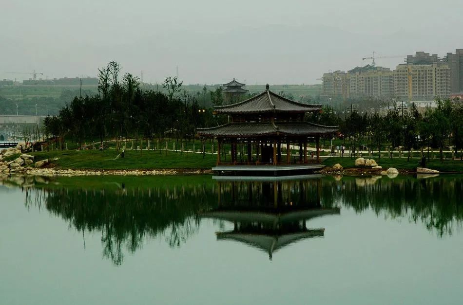 西安 鲜花_西安鲜花基地_西安鲜花网鲜花店同城