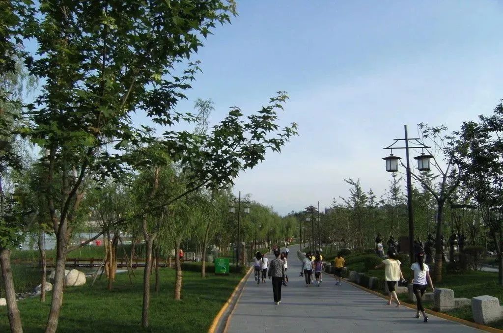 西安 鲜花_西安鲜花基地_西安鲜花网鲜花店同城