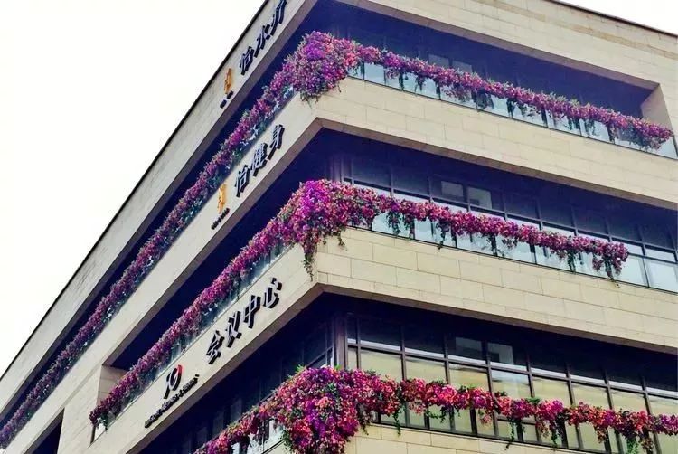 西安 鲜花_西安鲜花网鲜花店同城_西安鲜花基地