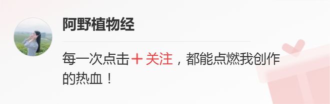 鲜花一直放会变干花吗_鲜花变干花后怎么保存_鲜花放干后变成干花