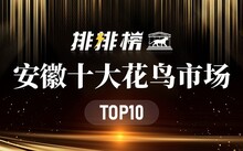 成都花鸟市场_成都市场花鸟市场价格_成都市场花鸟市场地址