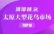 成都市场花鸟市场地址_成都花鸟市场_成都市场花鸟市场价格