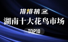 成都花鸟市场_成都市场花鸟市场价格_成都市场花鸟市场地址