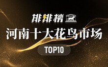 成都花鸟市场_成都市场花鸟市场价格_成都市场花鸟市场地址
