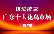 成都市场花鸟市场价格_成都花鸟市场_成都市场花鸟市场地址