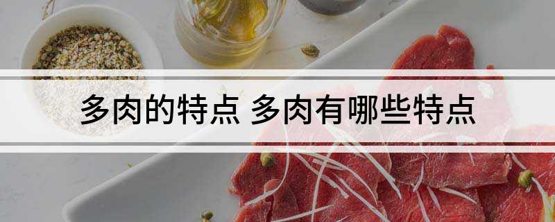 <strong>多肉的特点 多肉有哪些特点</strong>