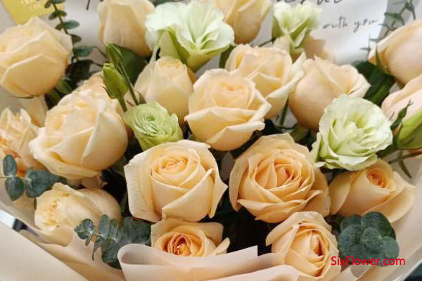 送花含义_送花12朵代表什么意思_送花表示什么