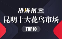 成都花鸟市场_成都市场花鸟市场地址_成都市场花鸟市场价格