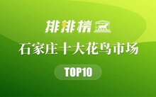 成都市场花鸟市场价格_成都花鸟市场_成都市场花鸟市场地址