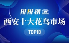 成都市场花鸟市场地址_成都花鸟市场_成都市场花鸟市场价格