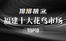 成都市场花鸟市场地址_成都市场花鸟市场价格_成都花鸟市场