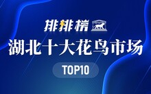 成都市场花鸟市场价格_成都市场花鸟市场地址_成都花鸟市场