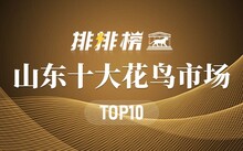 成都市场花鸟市场价格_成都市场花鸟市场地址_成都花鸟市场