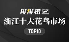 成都市场花鸟市场地址_成都市场花鸟市场价格_成都花鸟市场