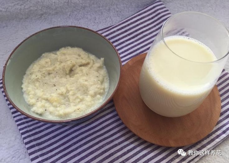 叶子养多肉的日常生活_叶子养多肉的日常_叶子养日常多肉好吗