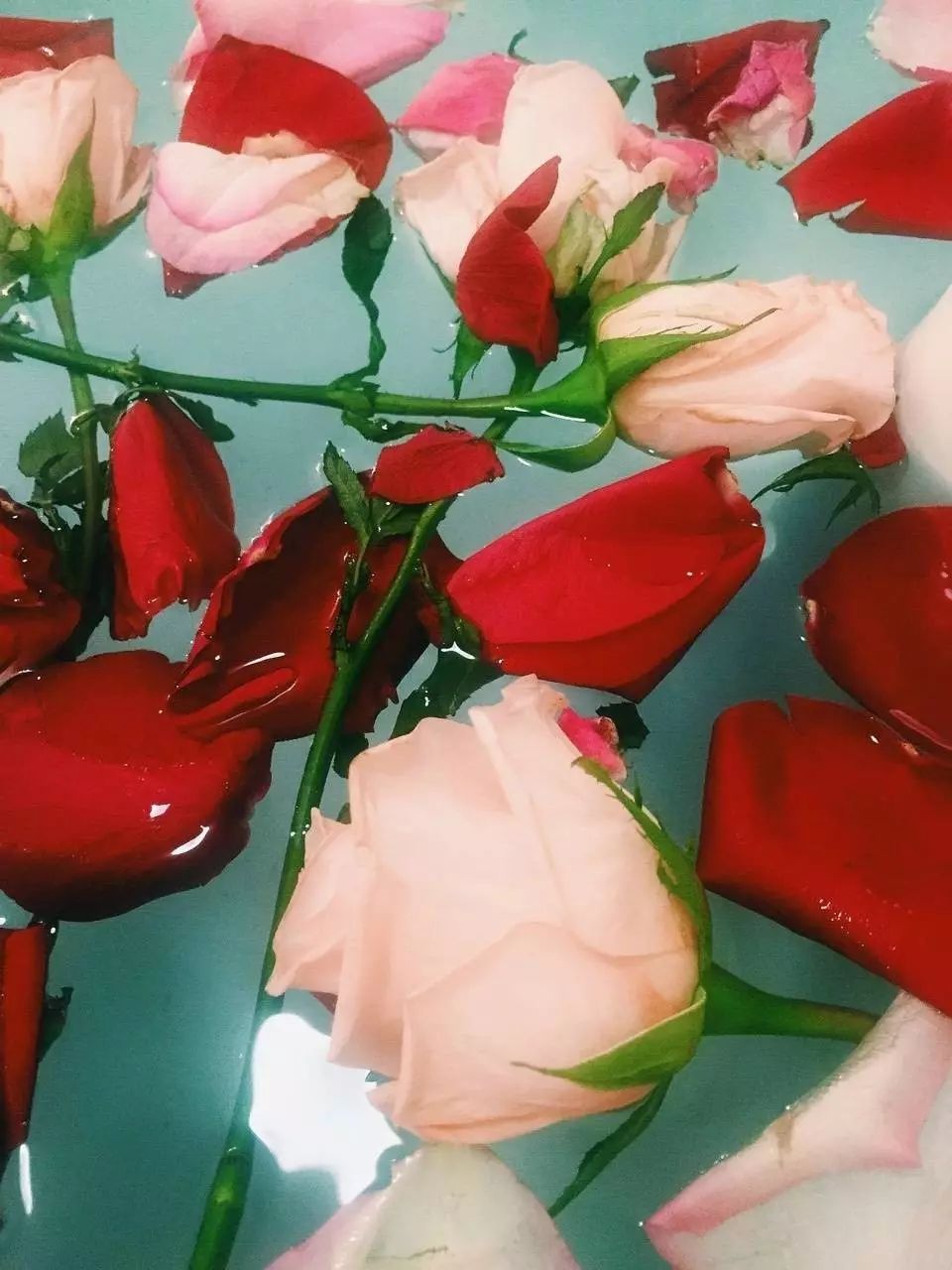 第一次送花给女朋友怎么说_女朋友送花怎么回复_女朋友送花说说