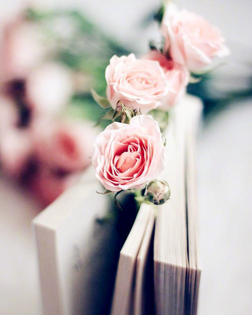 送束玫瑰花什么意思_送玫瑰花束的含义_送你一束玫瑰花