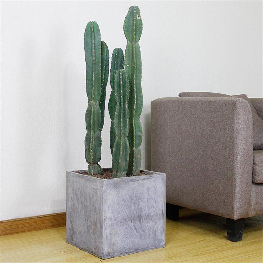 室内养绿植好处_室内养绿植好吗_室内养什么绿植好
