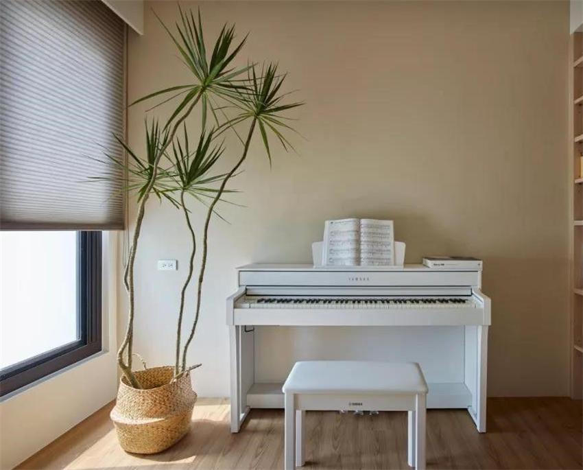 室内养什么绿植好_室内养绿植好吗_室内养绿植好处
