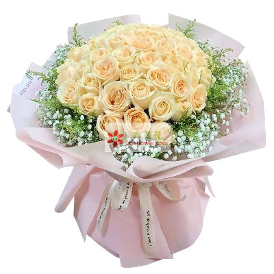 表白送花送什么花合适_表白送哪种花_表白送花送多少朵合适