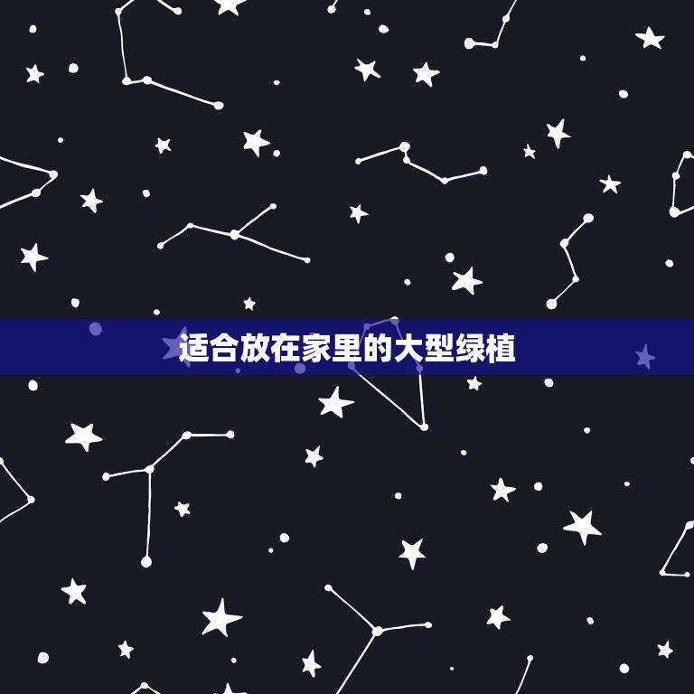 适合放在家里的大型绿植，最适合放在室内的十五种绿植