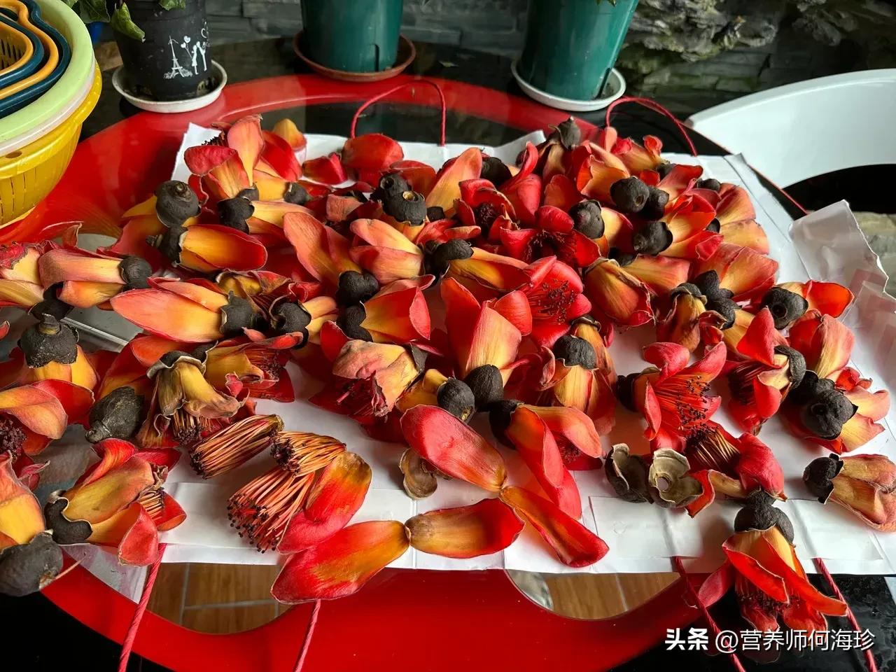 家里养斑马花好不好_好养斑马花家里养好吗_斑马花适合家庭养吗