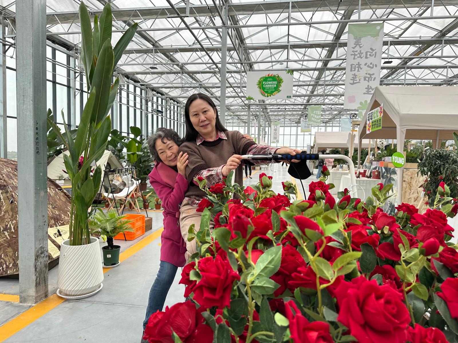 洛阳花卉市场电话号码_洛阳花卉市场_洛阳市花卉市场营业时间