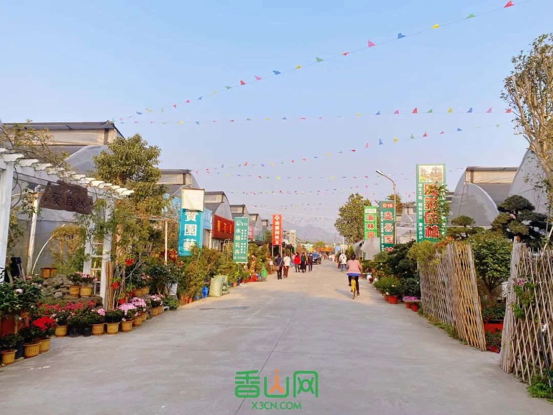 珠?；ɑ苁谐∧睦锉阋薩珠海市花卉批发市场_珠海花卉市场批发市场