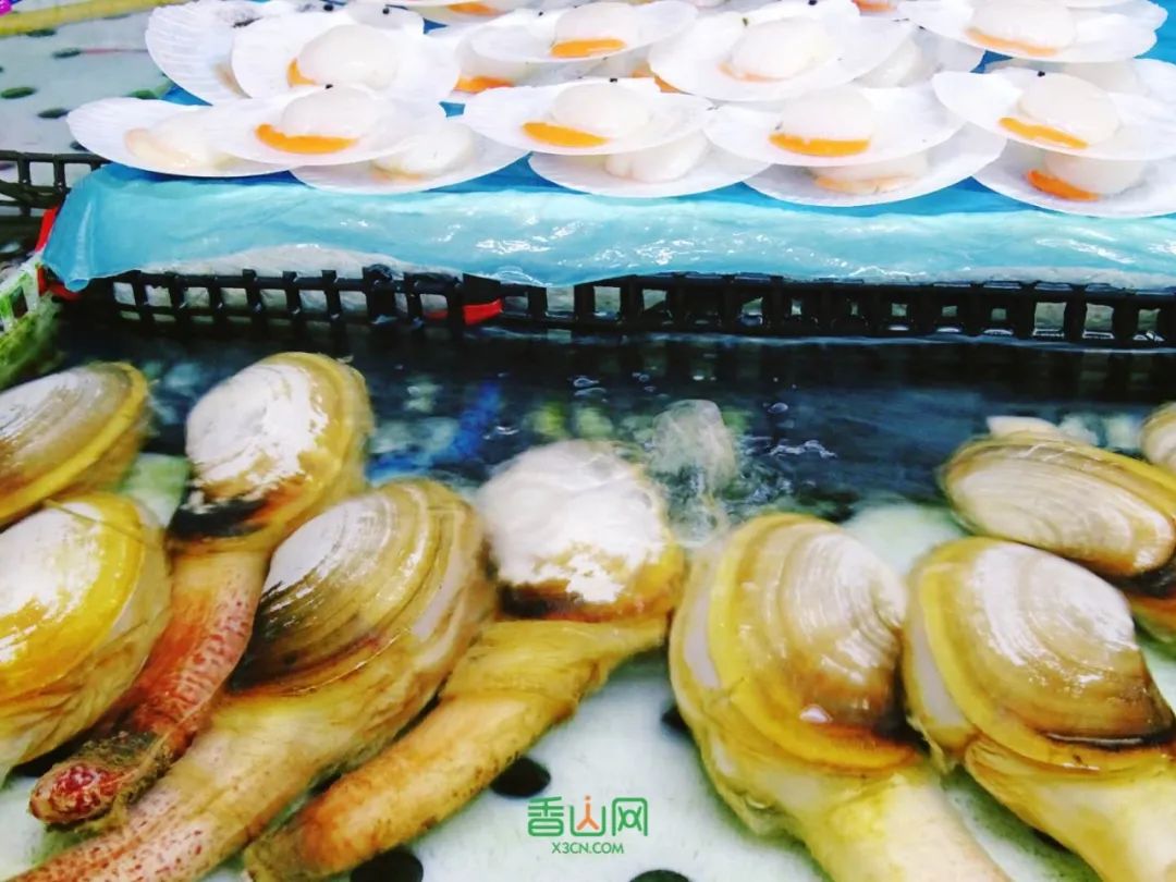 珠海花卉市场批发市场_珠海市花卉批发市场_珠海花卉市场哪里便宜